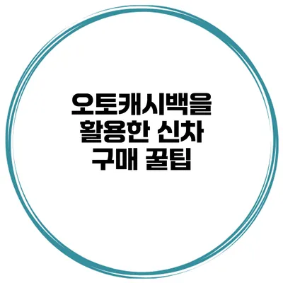 오토캐시백을 활용한 신차 구매 꿀팁