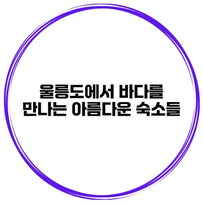 울릉도에서 바다를 만나는 아름다운 숙소들