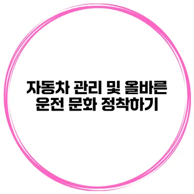 자동차 관리 및 올바른 운전 문화 정착하기