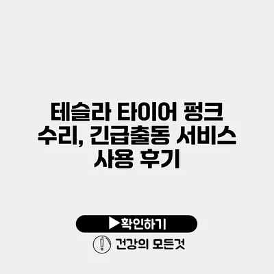 테슬라 타이어 펑크 수리, 긴급출동 서비스 사용 후기