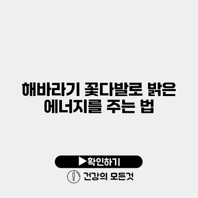 해바라기 꽃다발로 밝은 에너지를 주는 법