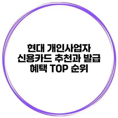 현대 개인사업자 신용카드 추천과 발급 혜택 TOP 순위