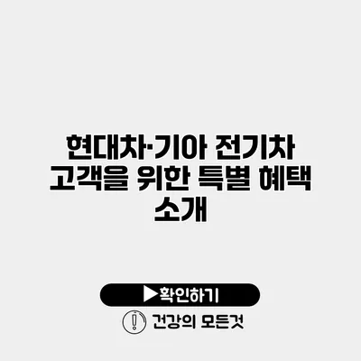 현대차·기아 전기차 고객을 위한 특별 혜택 소개