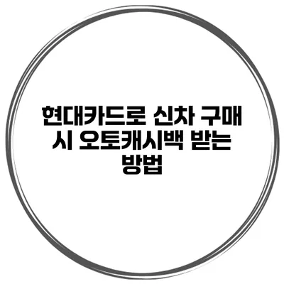 현대카드로 신차 구매 시 오토캐시백 받는 방법