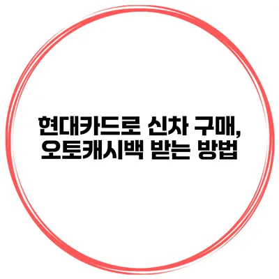 현대카드로 신차 구매, 오토캐시백 받는 방법