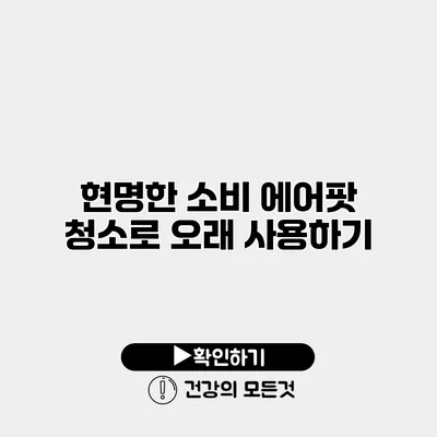 현명한 소비 에어팟 청소로 오래 사용하기